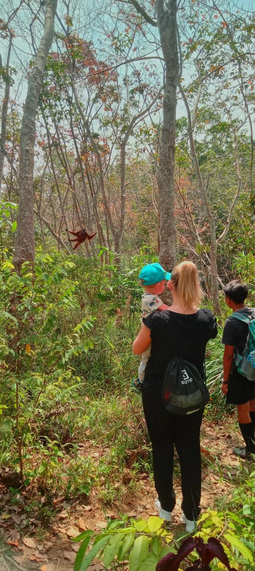 Eco Trekking Lodge, Bar & Jungle Tour'S Букит-Лаванг Экстерьер фото