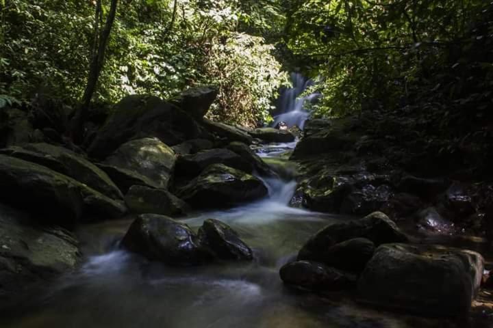 Eco Trekking Lodge, Bar & Jungle Tour'S Букит-Лаванг Экстерьер фото