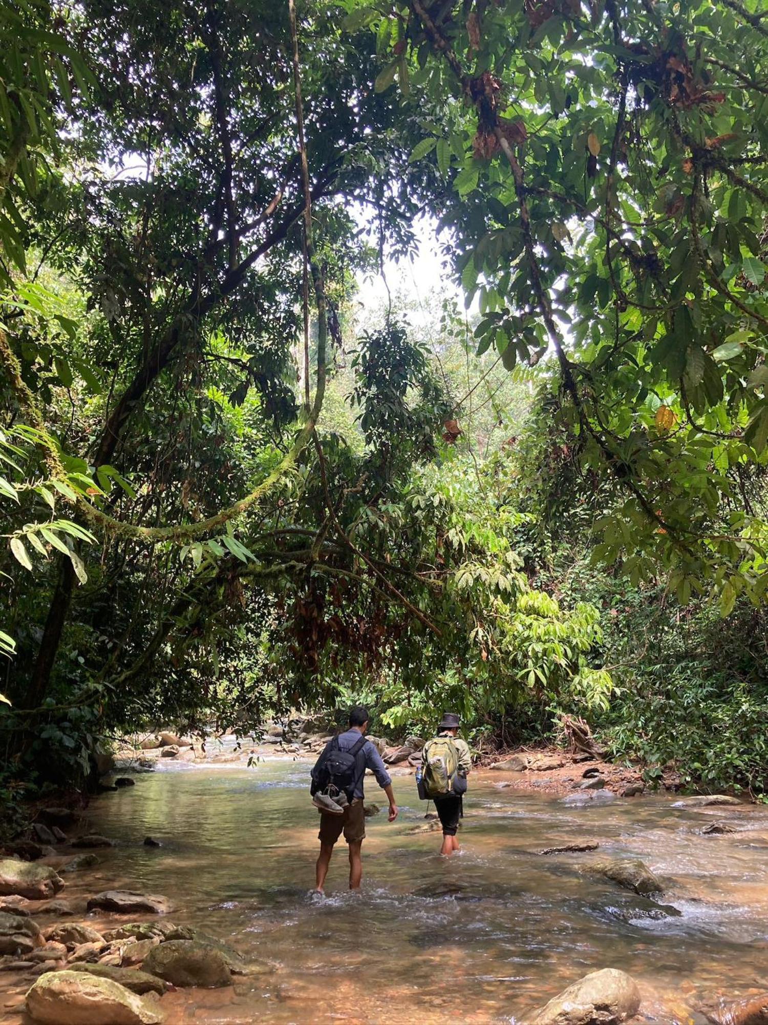 Eco Trekking Lodge, Bar & Jungle Tour'S Букит-Лаванг Экстерьер фото