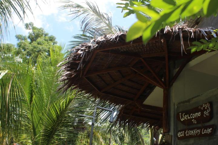 Eco Trekking Lodge, Bar & Jungle Tour'S Букит-Лаванг Экстерьер фото