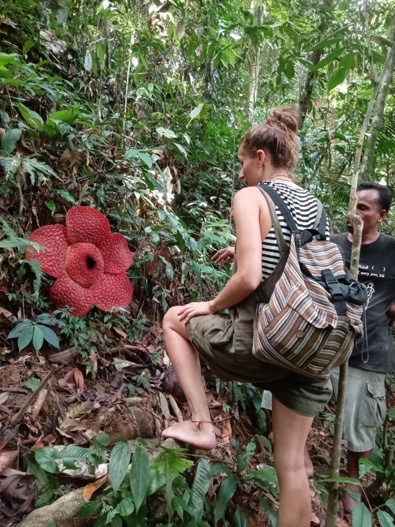Eco Trekking Lodge, Bar & Jungle Tour'S Букит-Лаванг Экстерьер фото